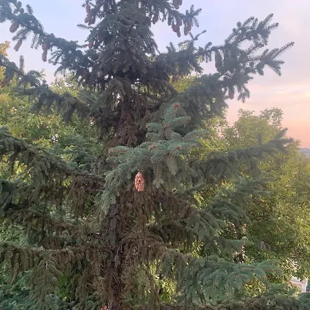 Apartament Urban Escape Belgrad