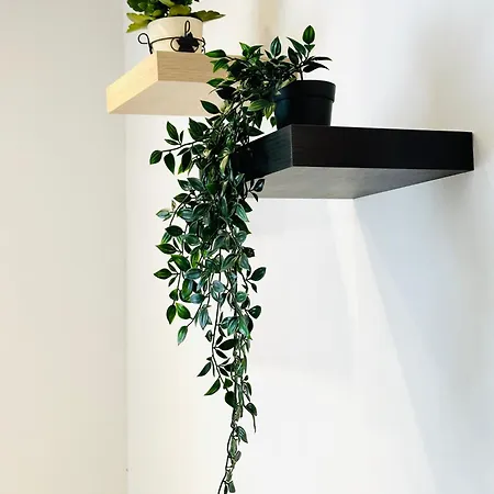 Urban Escape Apartment Belgrade